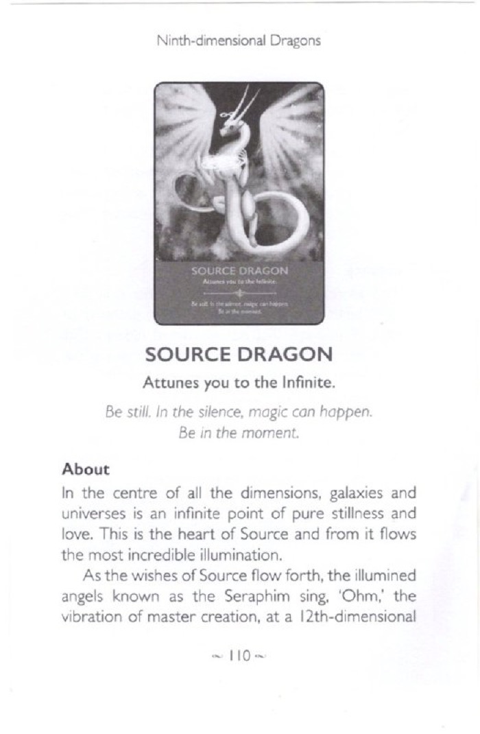 SOURCE DRAGON image